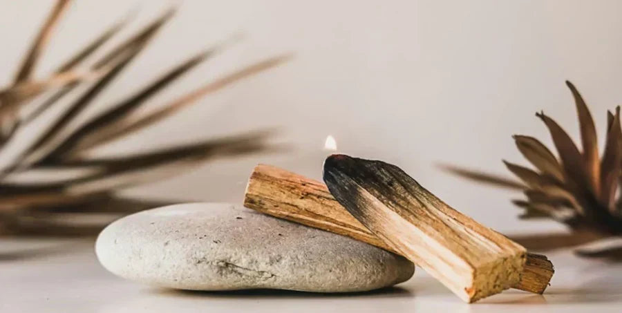 Les vertus du Bois Palo Santo