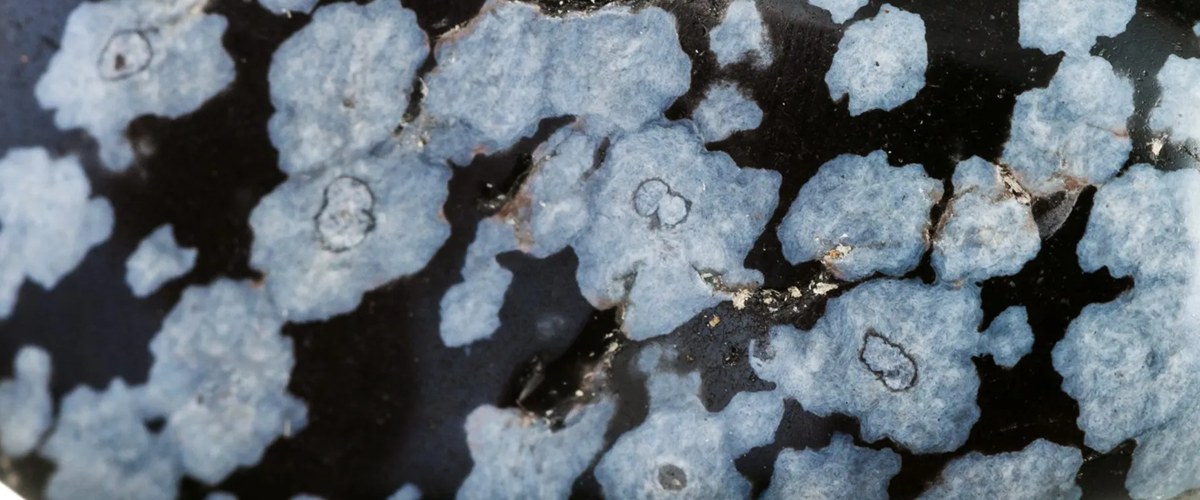 Vertus de l'Obsidienne Neige