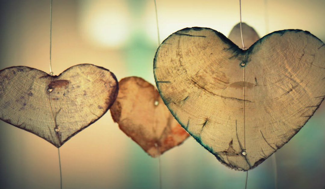 ÉMOTIONS | Amour, tendresse et réconfort