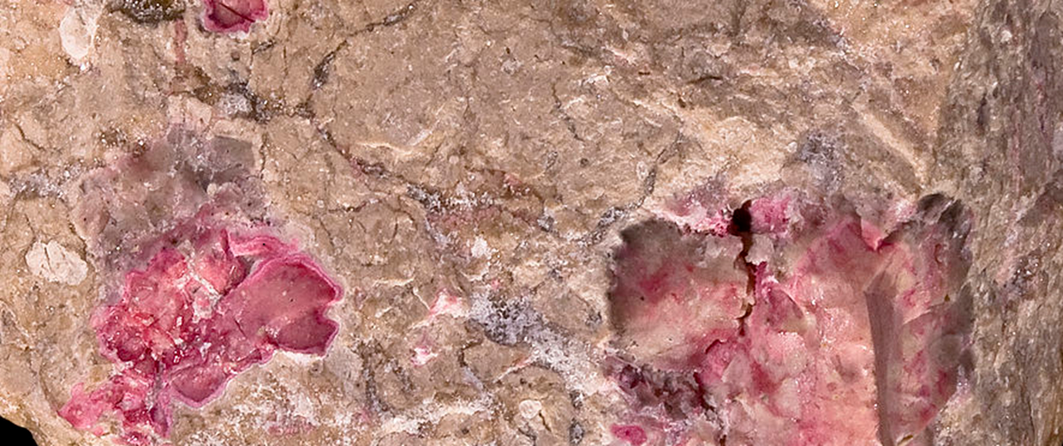 Vertus de l'Opale Rose