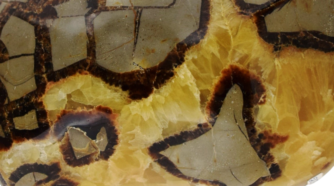 Vertus de la Septaria