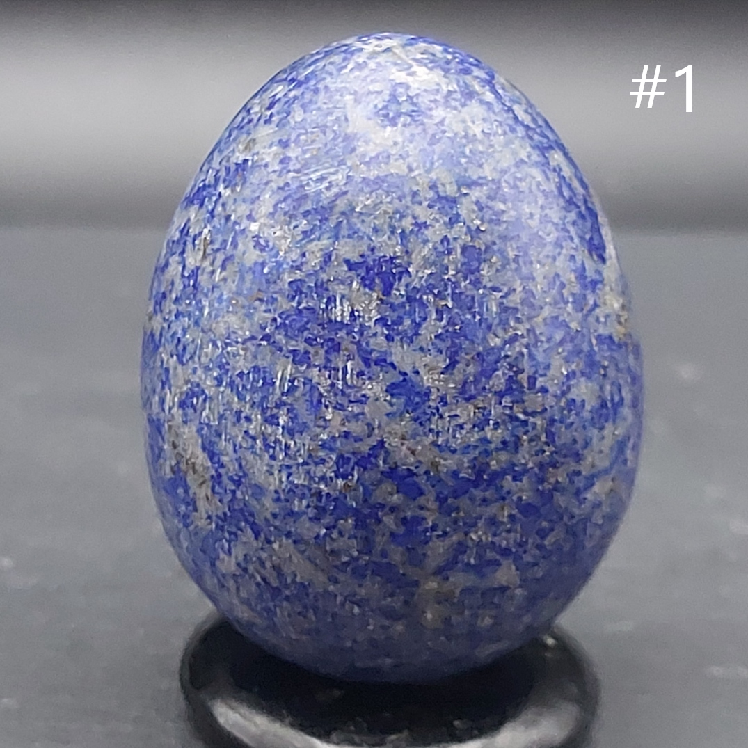 Oeuf | Lapis Lazuli