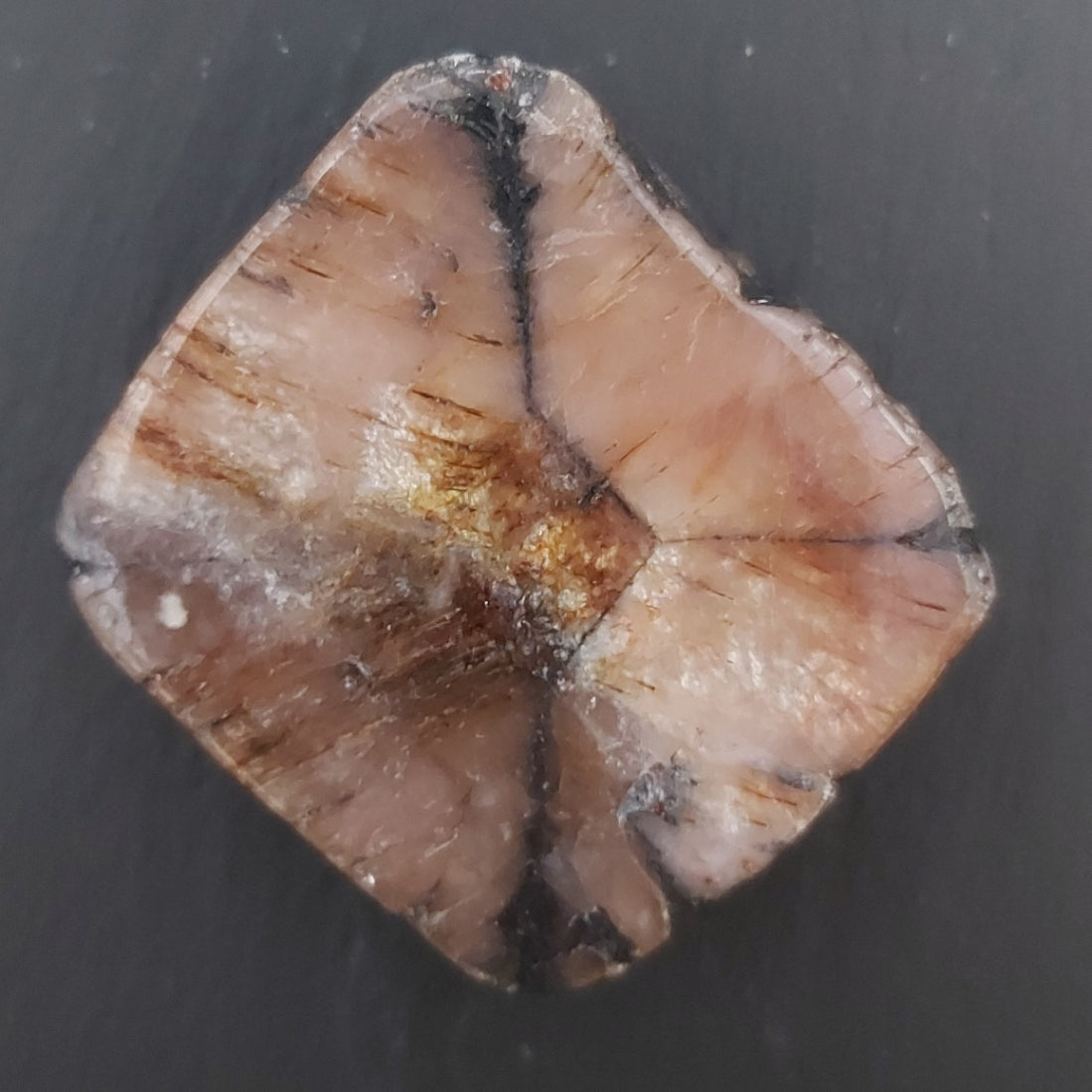 Pierre roulée | Chiastolite