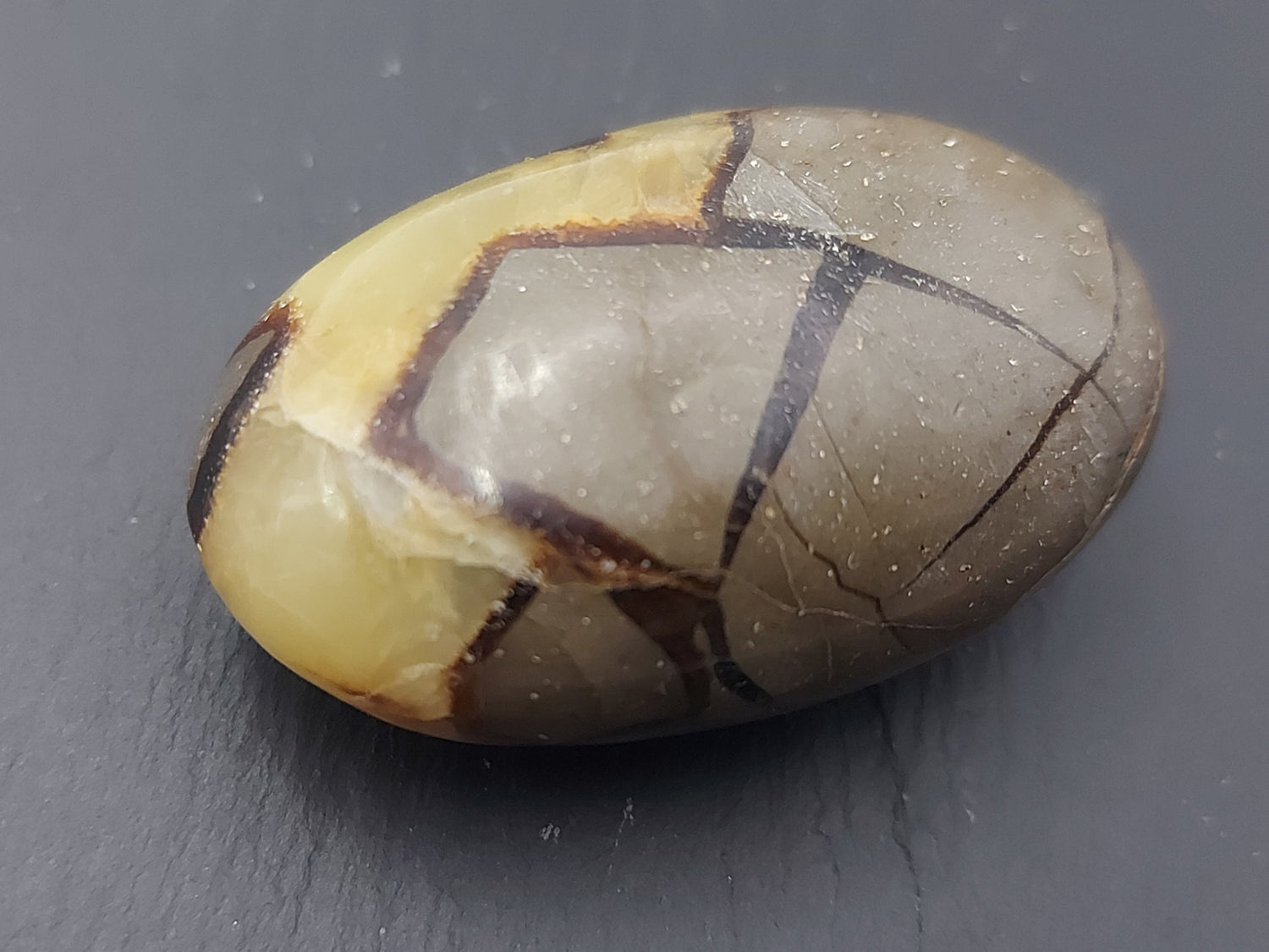 Pierre roulée | Septaria