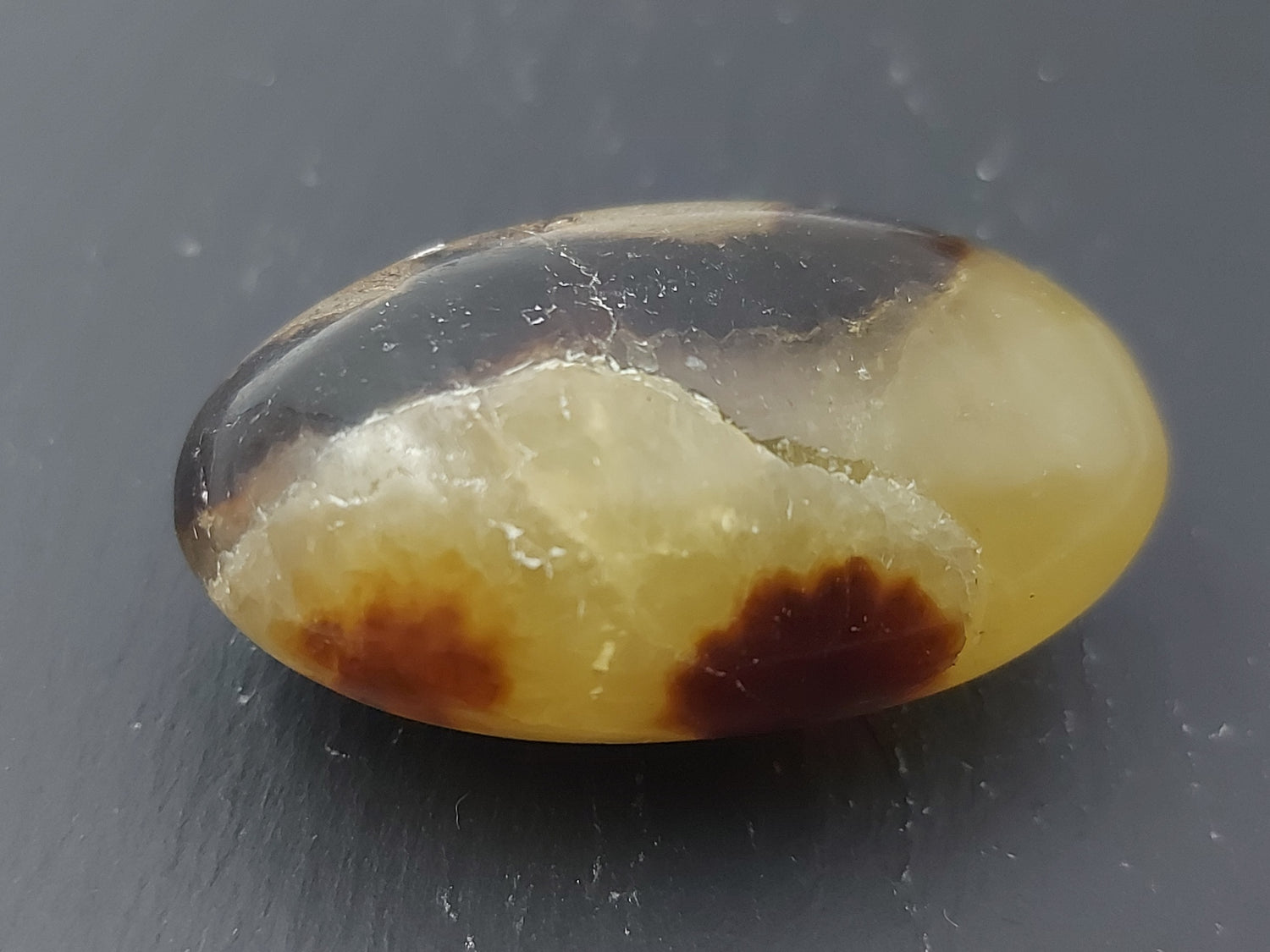 Pierre roulée | Septaria